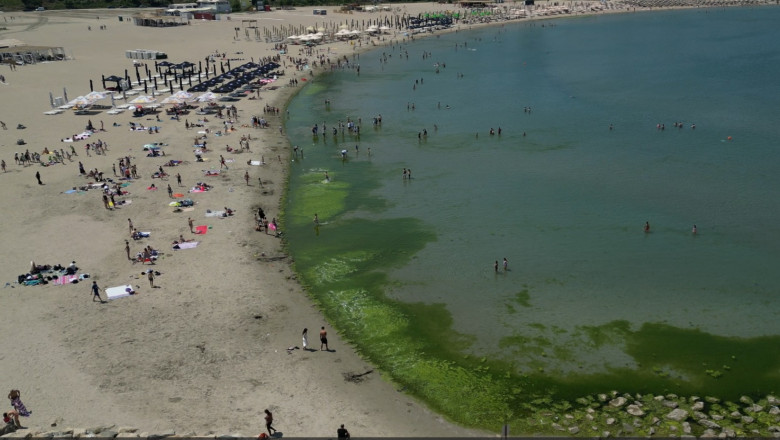 Carpetă de alge pe țărm la debutul sezonului: explicațiile specialiștilor pentru un fenomen neașteptat 1 video covor de alge pe litoral la inceput de sezon cum explica specialistii fenomenul intalnit de regula spre finalul verii 68426b4fb8b75