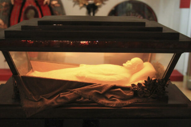 video cozi uriase la moscova pentru a vedea mumia lui lenin mausoleul se va inchide pentru doi ani 68443419d13ab