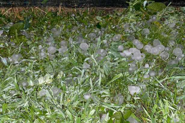 video grindina a facut prapad in localitatile afectate de codul rosu de furtuni culturi agricole si gradini distruse 68406a063fa68