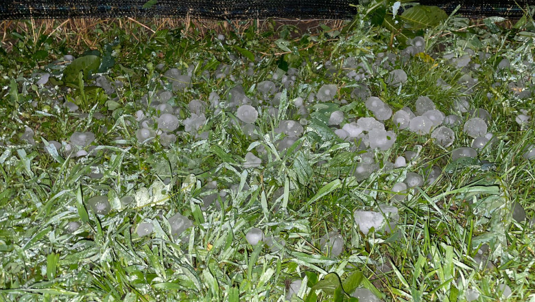 Furtuna devastatoare: Grindina a lăsat urme adânci în comunitățile lovite, distrugând culturi și grădini 1 video grindina a facut prapad in localitatile afectate de codul rosu de furtuni culturi agricole si gradini distruse 68406a063fa68