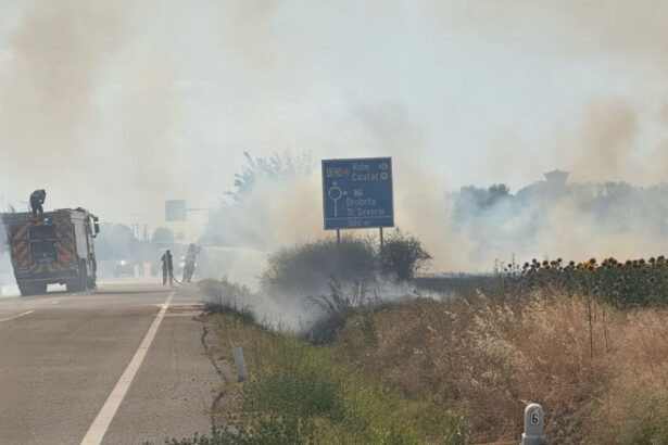 video incendiu puternic de vegetatie la maglavit in dolj pe o suprafata de 70 80 hectare traficul rutier a fost deviat 685d6906a358c