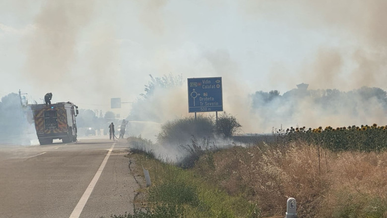 video incendiu puternic de vegetatie la maglavit in dolj pe o suprafata de 70 80 hectare traficul rutier a fost deviat 685d6906a358c