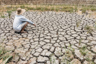 video planeta va depasi in trei ani pragul incalzirii globale de 15 grade celsius avertizeaza oamenii de stiinta 6853e227b3ae2