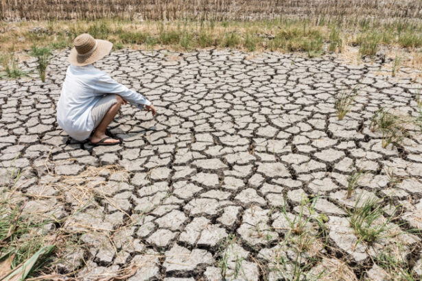 video planeta va depasi in trei ani pragul incalzirii globale de 15 grade celsius avertizeaza oamenii de stiinta 6853e227b3ae2