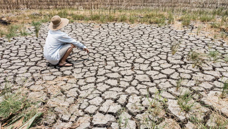 Planeta se îndreaptă spre o creștere alarmantă a temperaturii de 1,5 grade Celsius în următorii trei ani, atrag atenția experții 1 video planeta va depasi in trei ani pragul incalzirii globale de 15 grade celsius avertizeaza oamenii de stiinta 6853e227b3ae2