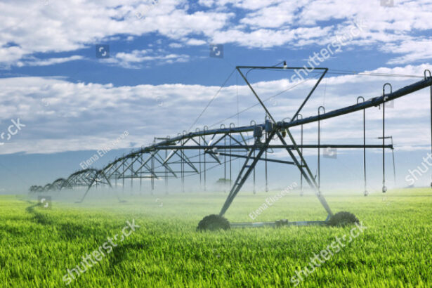 video propunerile lui nicusor dan pentru agricultura sisteme de imprumuturi si de asigurari specifice iar statul sa investeasca in irigatii 6841a0582ec90