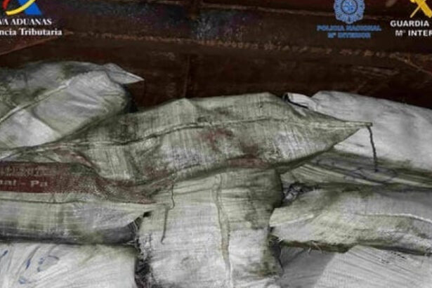 video romani arestati la valencia intr o operatiune antidrog descinderi in forta la o retea care racola distribuitori de stupefiante 68552a4649f74