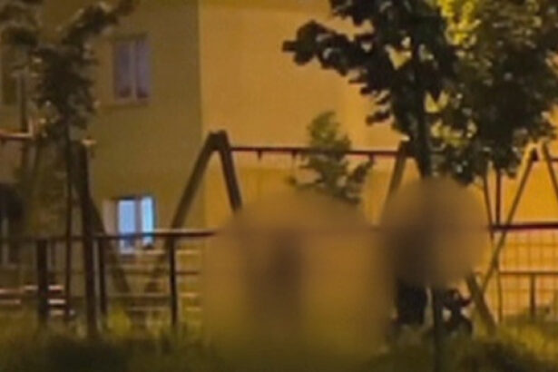 video scene socante intr un parc din brasov femeie batuta de sot in timp ce copilul plange in leagan agresorul a fost retinut 68465fd2616e8