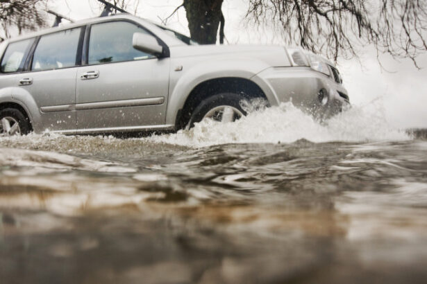 video solutii cu bani europeni in fata inundatiilor proiect pilot implementat pe raul timis pentru a scadea riscul de revarsare a apelor 68413f1440094