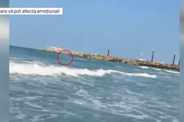 video tragedie evitata la limita cum a fost salvata de la moarte tanara abandonata de iubit in mijlocul valurilor la costinesti 684992ee1140a