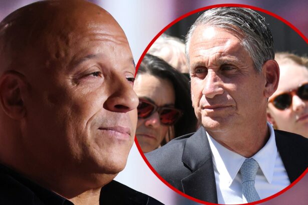 vin diesels attorney allegedly threatened to punch opposing lawyer sources deny claim 685ef4507c37f