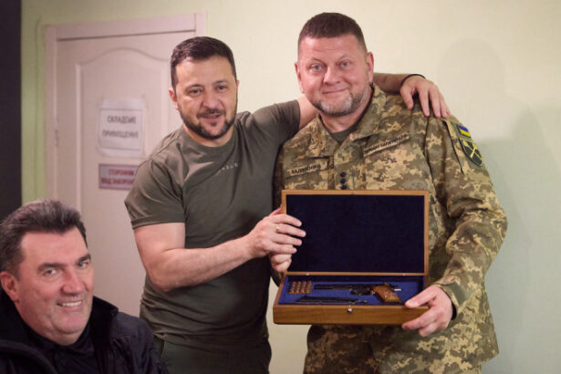 volodimir zelenski vs valeri zalujnii pe cine ar vota ucrainenii la alegerile prezidentiale 685d92d484d4f