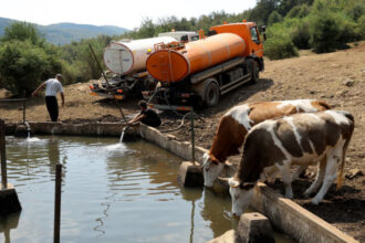 vreme extrema in europa de sud est tarile din balcani se confrunta cu temperaturi istorice 685d5f762aa85