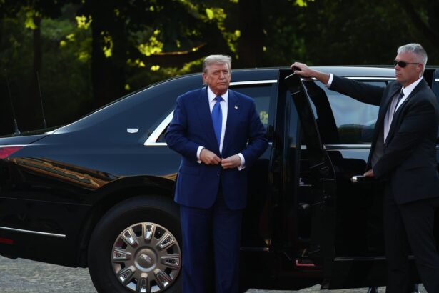 wednesday briefing why nato is rolling out the red carpet for donald trump at key summit 685bcbf3553a2