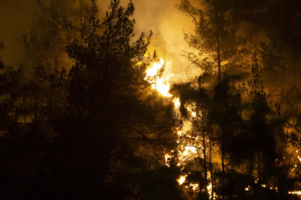 10 pompieri morti si 14 raniti in incendiile de vegetatie din centrul turciei 6881cd5006b0f