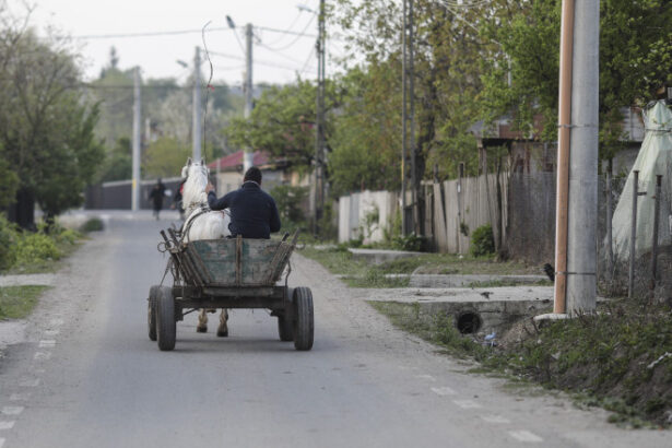 analiza in sate aproape goale primarii au consilieri personali edil cu ce se ocupa cu de toate 6880897c6ee36