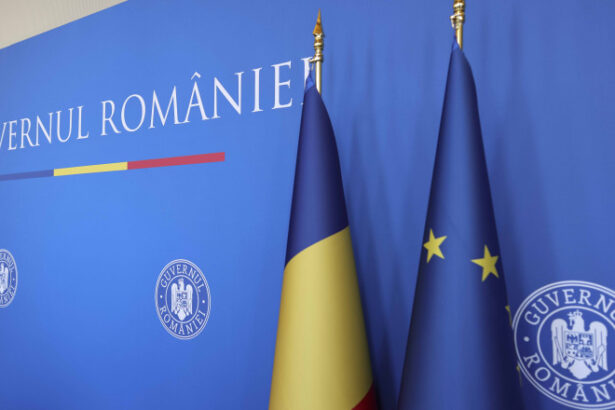 analiza sefii din guvern cu salarii mai mari decat leafa premierului mii de euro lunar pentru directorul unui institut fara profit 6879ff313f127