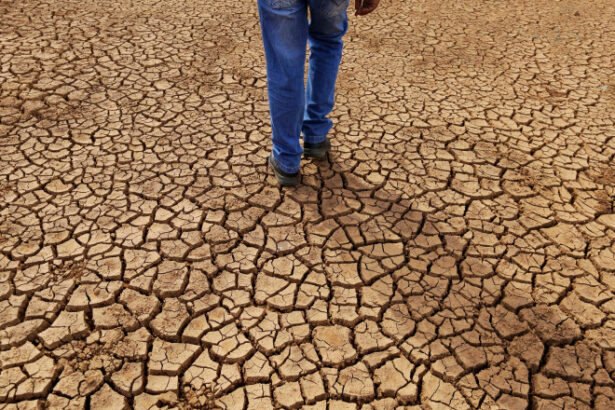 avertisment in premiera al curtii internationale de justitie asupra schimbarilor climatice o amenintare urgenta si existentiala 688101cd05374
