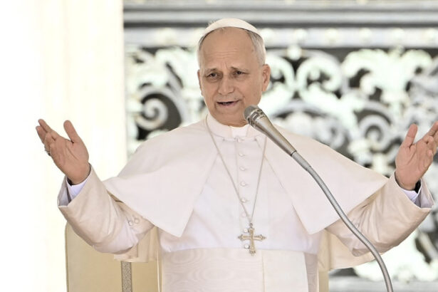 avertismentul papei leon al xiv lea societatea se imbolnaveste din cauza bulimiei conexiunilor digitale 688a2f674a344