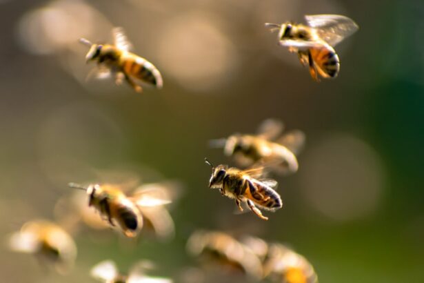 bee attack leaves dozens of people injured in french town 686ccc80395a7