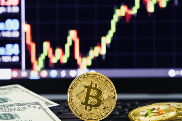 bitcoin atinge un nou record istoric pe ce pariaza investitorii in criptomonede 6875642ea582a