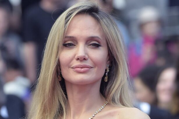 breaking newsangelina jolies neighborhood sees trespasser after ex brad pitt had home broken into 686bdc8449f2c