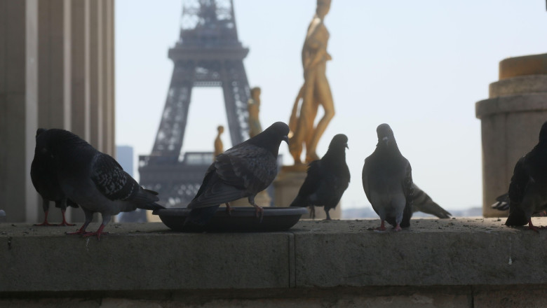 canicula lasa parisul fara curent electric realimentarea cu energie este ingreunata de o greva 686a4ed30c3ed