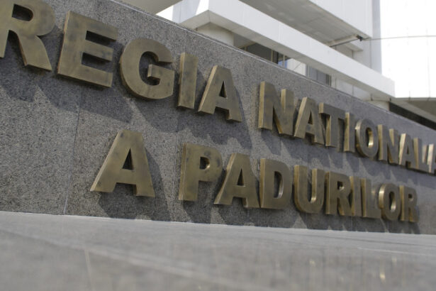 ce a descoperit corpul de control al ministerului mediului la romsilva diana buzoianu trimite raportul la parchetul general 6888b51a8cfa8