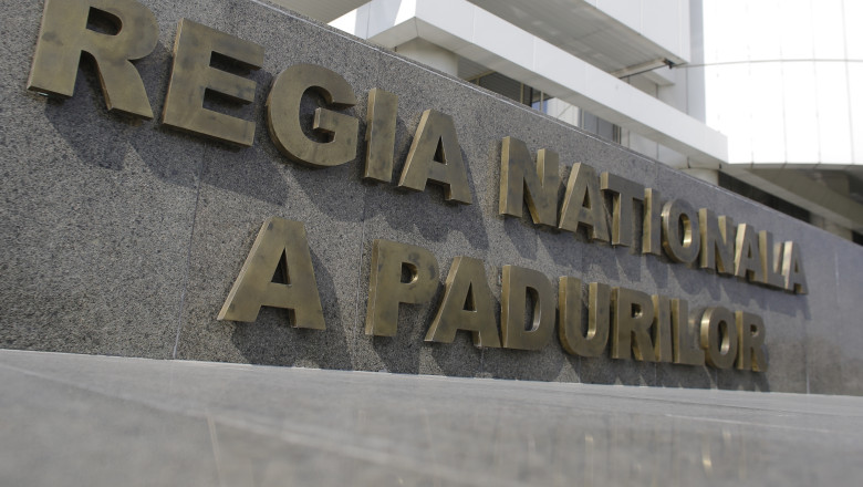 Revelațiile Corpului de Control al Ministerului Mediului privind Romsilva: Raportul Dianei Buzoianu ajunge la Parchetul General 1 ce a descoperit corpul de control al ministerului mediului la romsilva diana buzoianu trimite raportul la parchetul general 6888b51a8cfa8