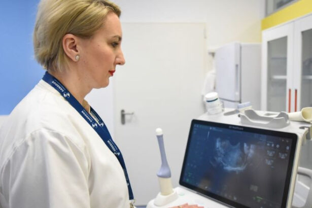 ce metode exista pentru obtinerea unei sarcini cand aceasta nu apare spontan 6881efced805b