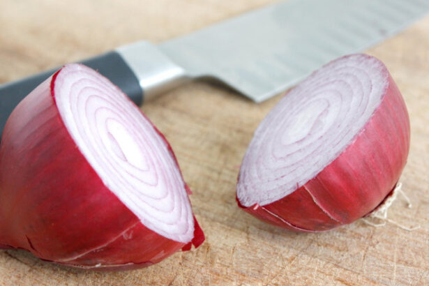 ceapa de buzau bot de vulpe soi pierdut si recuperat din sua a fost inscris in catalogul european 6864eb8132eec