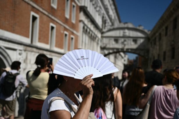 climate breakdown tripled death toll in europes june heatwave study finds 686dff6514c8a