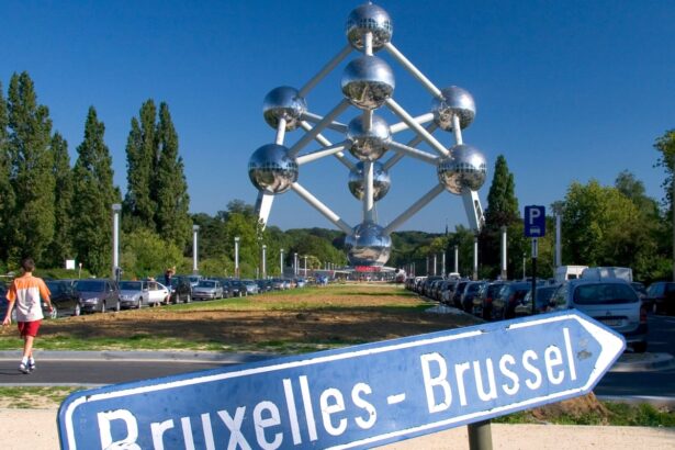 complaint upheld against belgian ticket inspector who said bonjour in flanders 6877c0314d0e3