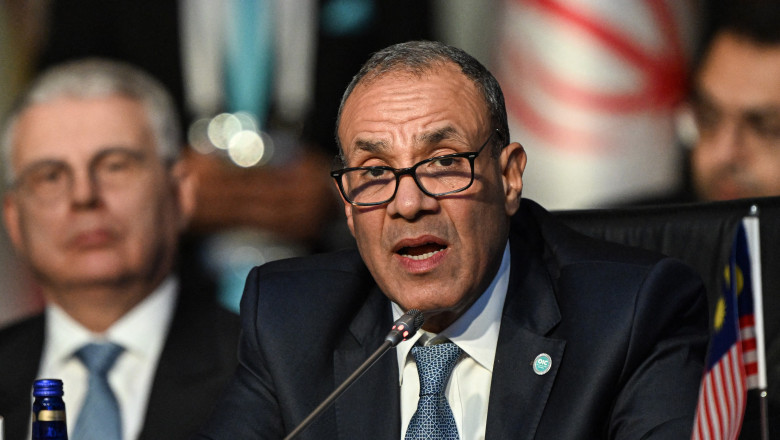 Plan terorist vizând infrastructura de securitate și economică a Egiptului. Ce informații a obținut guvernul de la Cairo? 1 complot terorist pentru atacarea instalatiilor de securitate si economice ale egiptului ce a descoperit executivul de la cairo 687cdd33265e8