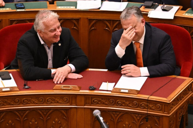 cum explica vicepremierul ungariei mesajul pro george simion al lui viktor orban in cateva secunde a existat o asezare a subiectului 68828b4d8d7c2