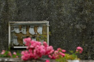 dig begins at site in ireland believed to hold remains of nearly 800 infants 6874deb4152d2