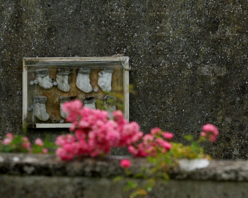 Săpăturile încep pe un teren din Irlanda, unde se crede că se află rămășițele a aproape 800 de copii. 1 dig begins at site in ireland believed to hold remains of nearly 800 infants 6874deb4152d2