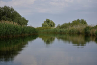 doi copii loviti de un ski jet in apele dunarii barbatul care il conducea consumase alcool iar politia a dechis o ancheta 687bcd00f2b36