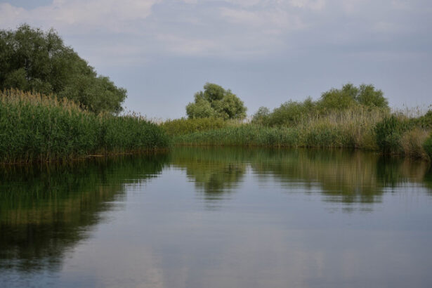 doi copii loviti de un ski jet in apele dunarii barbatul care il conducea consumase alcool iar politia a dechis o ancheta 687bcd00f2b36