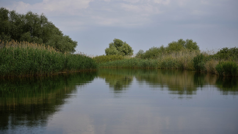 Accident pe Dunăre: Doi copii răniți de un ski-jet condus de un șofer băut, ancheta poliției este în curs. 1 doi copii loviti de un ski jet in apele dunarii barbatul care il conducea consumase alcool iar politia a dechis o ancheta 687bcd00f2b36