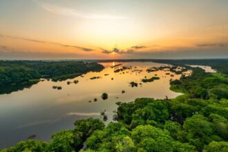 eu may allow carbon credits from developing countries to count towards climate goals 6863ed964f712