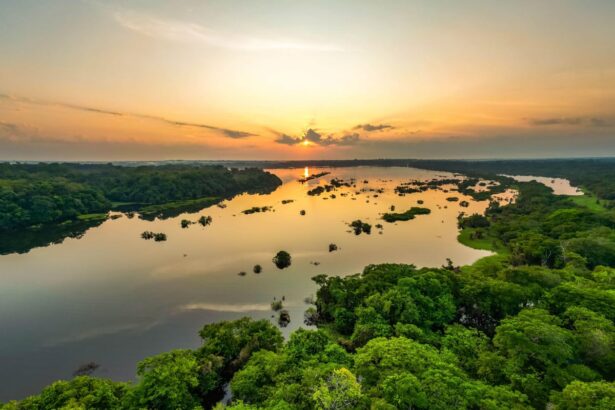 eu may allow carbon credits from developing countries to count towards climate goals 6863ed964f712