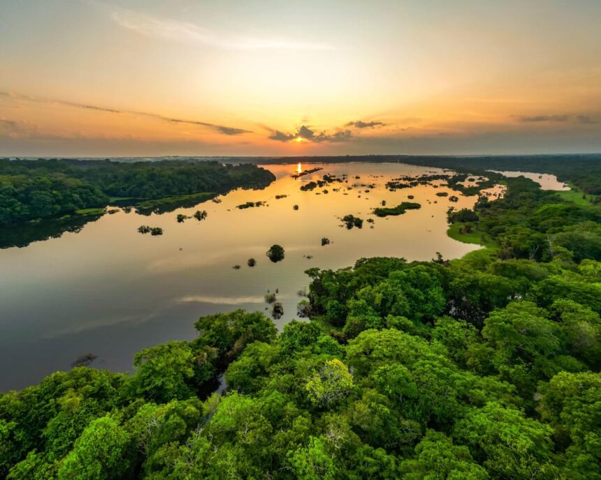 Uniunea Europeană ar putea accepta creditele de carbon din țările în dezvoltare ca parte a obiectivelor climatice. 1 eu may allow carbon credits from developing countries to count towards climate goals 6863ed964f712