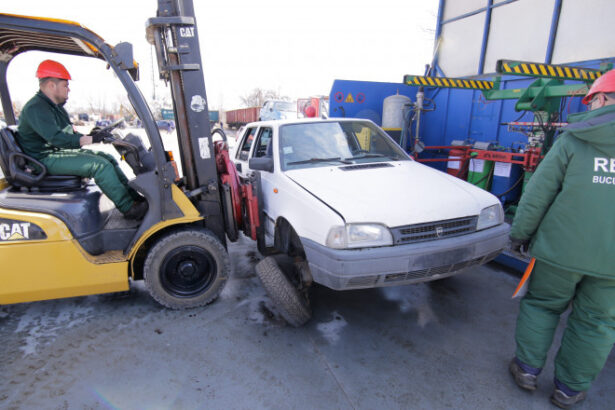 exclusiv ministra mediului diana buzoianu programul rabla pentru persoane fizice va fi lansat suta la suta anul acesta 688a76d31c7c1