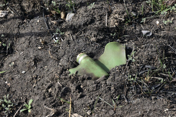 finlanda iese oficial din tratatul privind interzicerea minelor antipersonal 6867dd0511abc