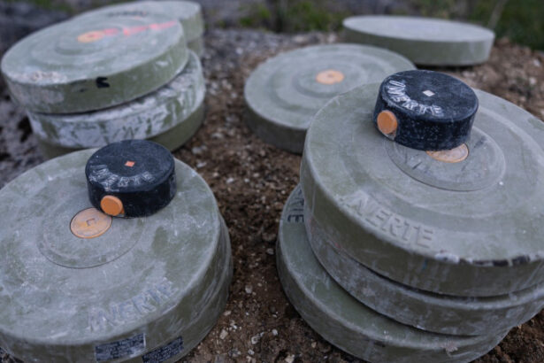 finlanda si lituania vor incepe productia de mine antipersonal anul viitor 686e2ed8a6aab