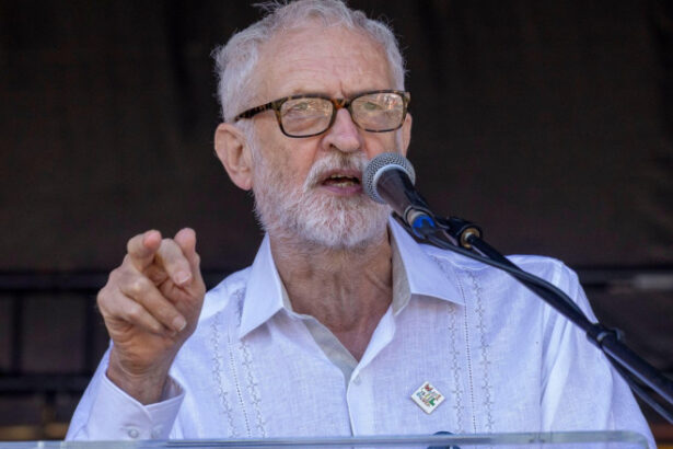 fostul lider al laburistilor britanici lanseaza un nou partid your party formatiunea politica a lui jeremy corbyn 688242fa6b7e8