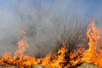 foto incendii la marginea ploiestiului doua cladiri distruse de flacari circulatie restrictionata pe dn1b spre buzau 68865fb076e77
