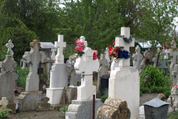 frauda de peste 13 milioane de lei cu monumente funerare la iasi 6863ba0d081ef