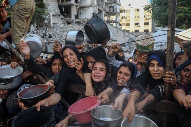 friday briefing a cruel and unlawful betrayal why is the eu not doing more to sanction israel 687a27045273d